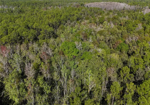 Photo 3 of Land for sale at N/A, Naples, FL | MLS# OM716996 | Listing updated on 2026-08-20