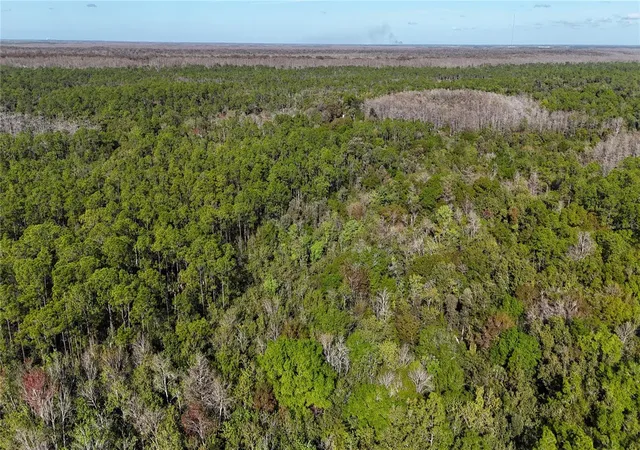 Photo 4 of Land for sale at N/A, Naples, FL | MLS# OM716996 | Listing updated on 2026-08-20
