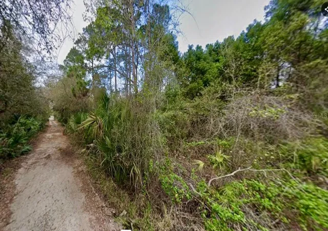 Photo 3 of Land for sale at 31217 Lorine St, Deland, FL 32720 | MLS# FC315466 | Listing updated on 2026-09-25