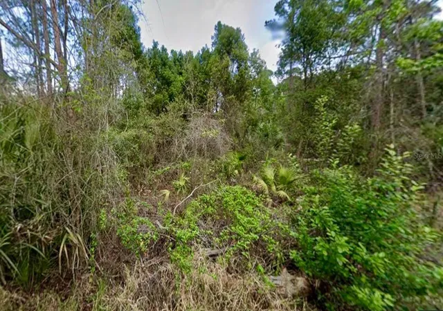 Photo 4 of Land for sale at 31217 Lorine St, Deland, FL 32720 | MLS# FC315466 | Listing updated on 2026-09-25