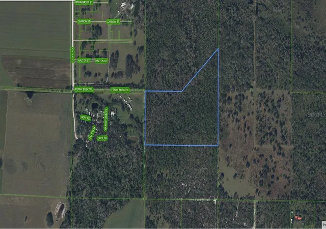 Homes for sale in Venus, FL | 49 Fenny Bosk Trl, Venus, FL 33960 | MLS# B4902161