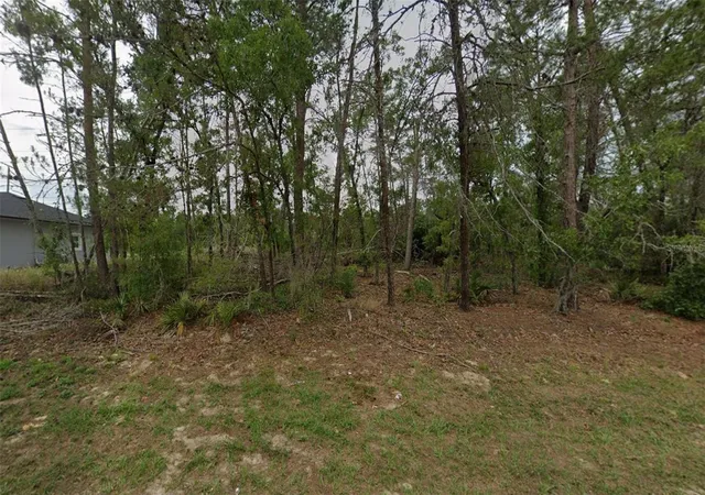 Photo 2 of Land for sale at 0 Sw 50th Circle, Ocala, FL 34473 | MLS# OM717085 | Listing updated on 2026-08-17