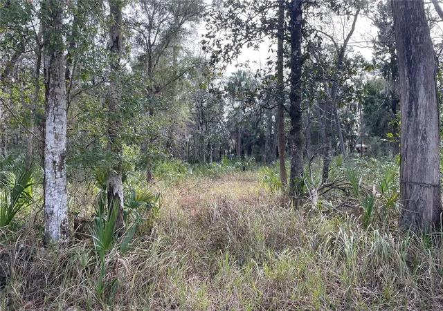1st image of 11106 W Townsend Ln, Homosassa, FL 34448 | MLS# OM717146