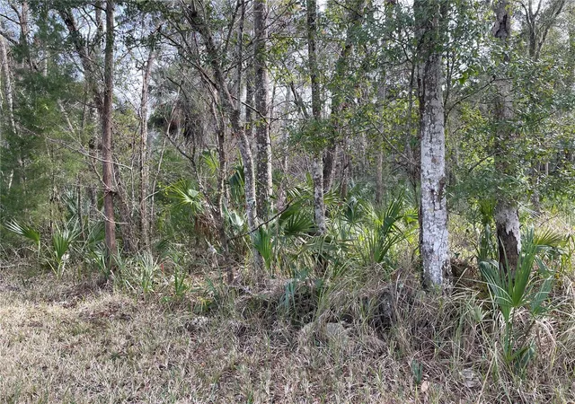 Photo 3 of Land for sale at 11106 W Townsend Ln, Homosassa, FL 34448 | MLS# OM717146 | Listing updated on 2026-04-23