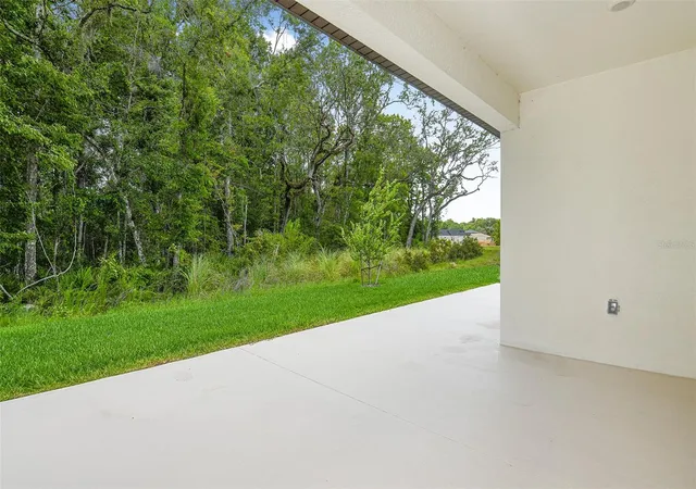 Photo 15 of Single family home for sale at 11335 Striped Bass Ct, New Port Richey, FL 34654 | MLS# W7882304 | Listing updated on 2026-08-12