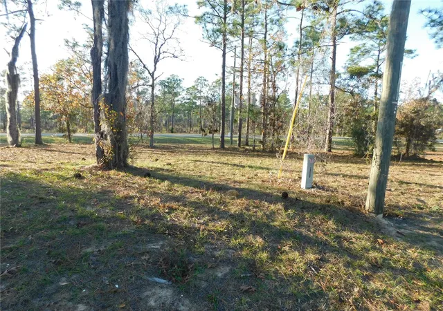 11th image of 4932 E Eliza Ct, Inverness, FL 34452 | MLS# TB8467423