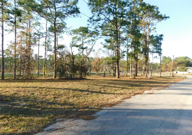 2nd image of 4932 E Eliza Ct, Inverness, FL 34452 | MLS# TB8467423