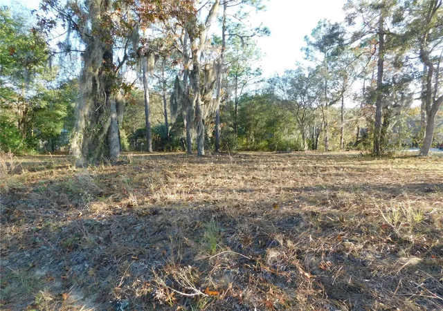 Photo 3 of Land for sale at 4932 E Eliza Ct, Inverness, FL 34452 | MLS# TB8467423 | Listing updated on 2026-08-23