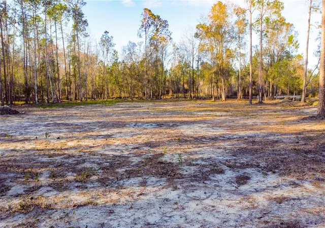 Photo 3 of Land for sale at 0 State Rd 33, Clermont, FL 34714 | MLS# G5107149 | Listing updated on 2026-07-21