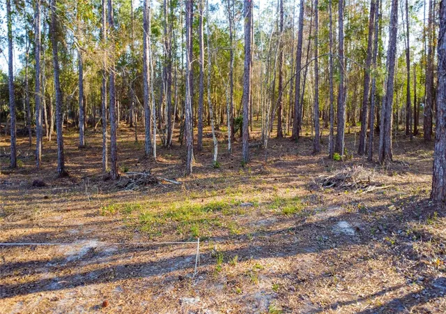 Photo 3 of Land for sale at 0 State Rd 33, Clermont, FL 34714 | MLS# G5107149 | Listing updated on 2026-07-21