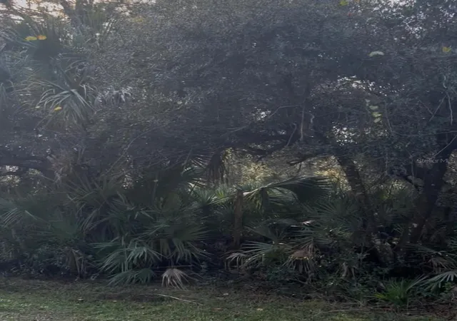 Photo 1 of Land for sale at 00 Dill Rd, Christmas, FL | MLS# O6376312 | Listing updated on 2026-08-19