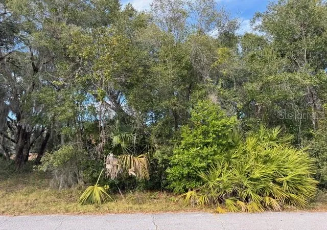 Photo 2 of Land for sale at 195 Lake Molly Ave, Deland, FL 32724 | MLS# O6376370 | Listing updated on 2026-10-05
