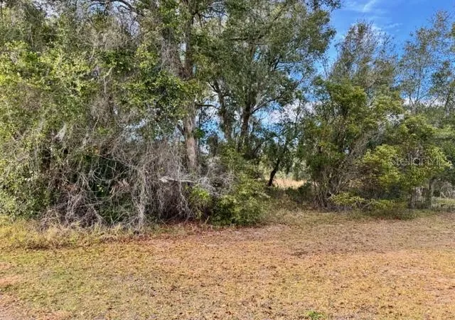 Photo 3 of Land for sale at 195 Lake Molly Ave, Deland, FL 32724 | MLS# O6376370 | Listing updated on 2026-10-05