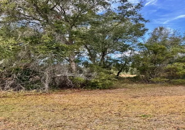 Photo 3 of Land for sale at 195 Lake Molly Ave, Deland, FL 32724 | MLS# O6376370 | Listing updated on 2026-10-05