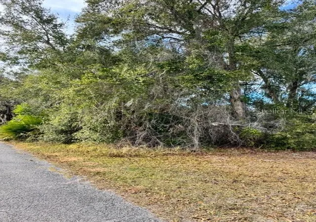 Photo 4 of Land for sale at 195 Lake Molly Ave, Deland, FL 32724 | MLS# O6376370 | Listing updated on 2026-10-05