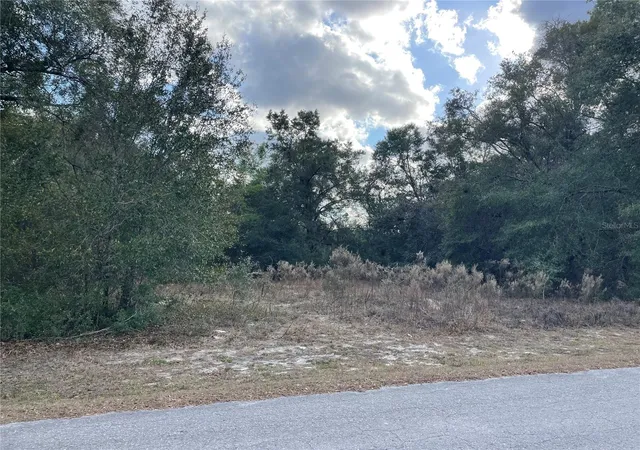 Photo 3 of Land for sale at 3798 E Tulipwood Ln, Hernando, FL 34442 | MLS# OM717292 | Listing updated on 2026-06-27