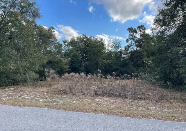 Photo 4 of Land for sale at 3798 E Tulipwood Ln, Hernando, FL 34442 | MLS# OM717292 | Listing updated on 2026-06-27