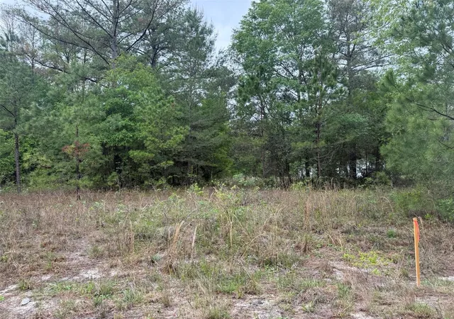 Photo 1 of Land for sale at Maltas Ave, Interlachen, FL 32148 | MLS# K4903236 | Listing updated on 2026-09-24