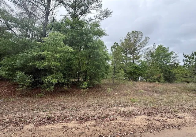 Photo 2 of Land for sale at Maltas Ave, Interlachen, FL 32148 | MLS# K4903236 | Listing updated on 2026-09-24