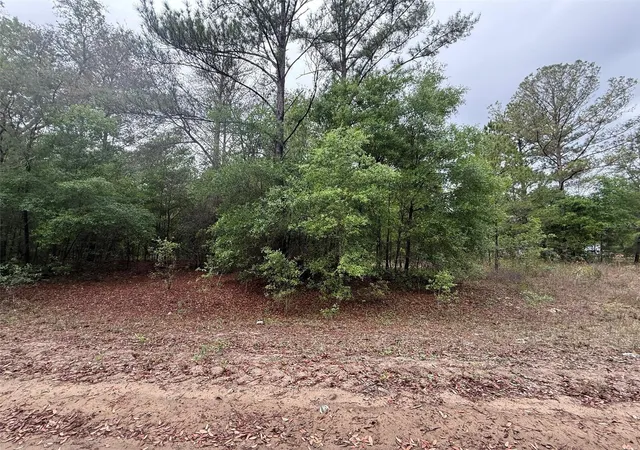Photo 3 of Land for sale at Maltas Ave, Interlachen, FL 32148 | MLS# K4903236 | Listing updated on 2026-09-24
