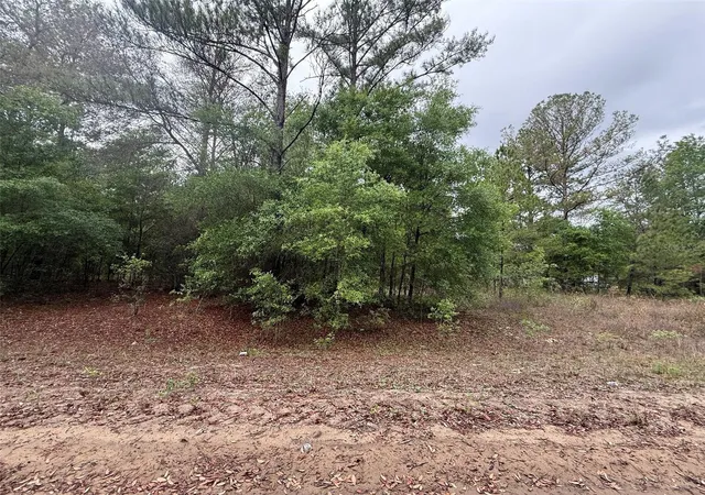 Photo 3 of Land for sale at Maltas Ave, Interlachen, FL 32148 | MLS# K4903236 | Listing updated on 2026-09-24