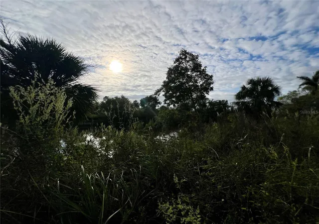 Photo 2 of Land for sale at 1229 Ne 13th Place, Cape Coral, FL 33909 | MLS# C7520813 | Listing updated on 2026-08-07