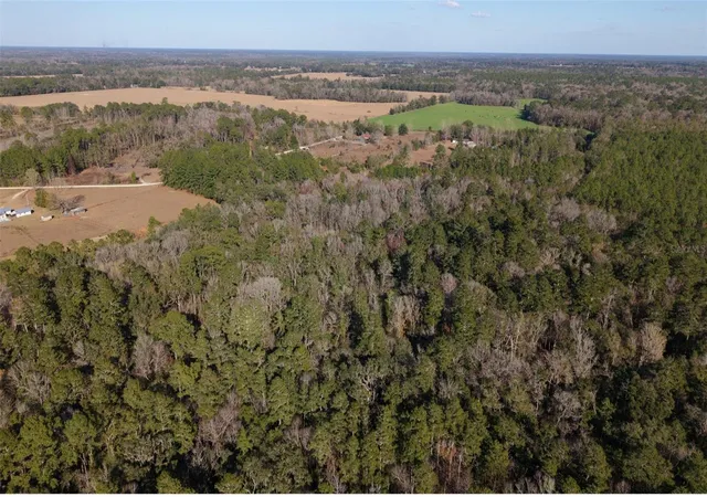 Photo 3 of Single family home for sale at 14403 Nw 258th Place, Alachua, FL 32615 | MLS# GC536890 | Listing updated on 2026-01-27