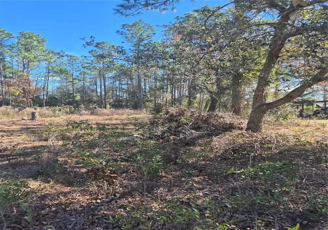 Photo 3 of Land for sale at Se 87 Terrace, Belleview, FL 34420 | MLS# G5107266 | Listing updated on 2026-08-02