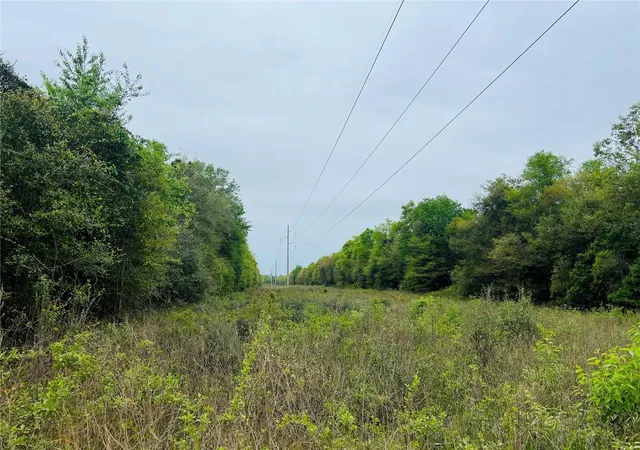 Homes for sale in Bascom, FL | Tower Rd, Bascom, FL 32423 | MLS# O6376980