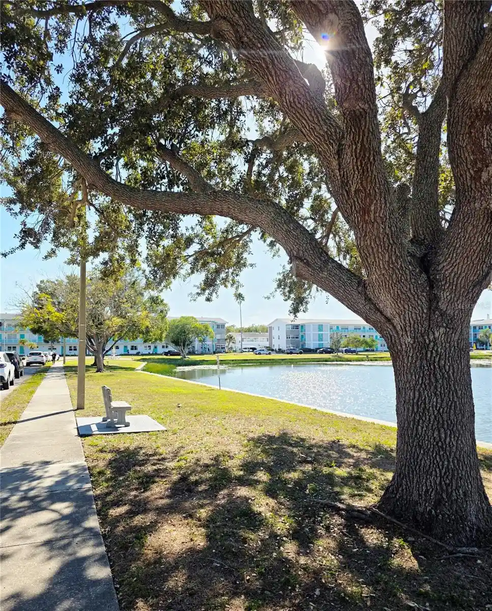 Listing Photo 21 - Condo for sale in 5945 21St St N located at 5945 21St St N, St. Petersburg, FL 33714 - Unit #18