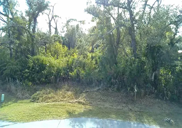 Photo 1 of Land for sale at 102 Sunny Way, Rotonda West, FL 33947 | MLS# C7520943 | Listing updated on 2026-08-09