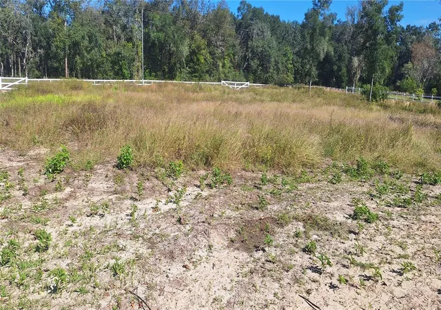 11th image of 7285 Norman St, Webster, FL 33597 | MLS# TB8469443