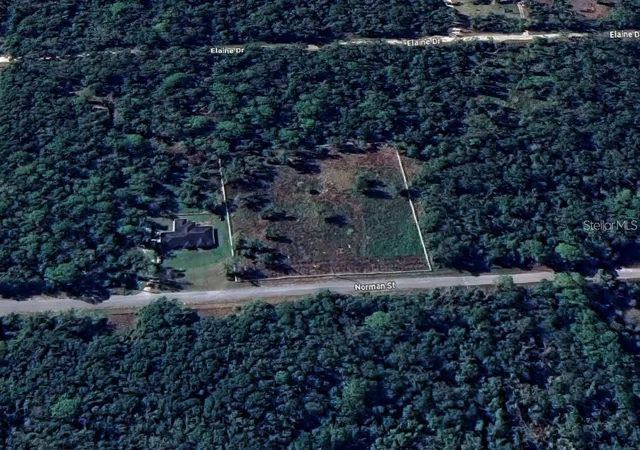4th image of 7285 Norman St, Webster, FL 33597 | MLS# TB8469443