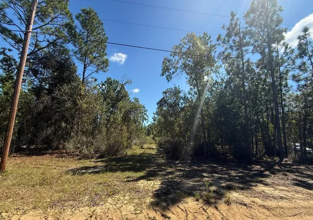 Photo 2 of Land for sale at 118 Linda Ln, Interlachen, FL 32148 | MLS# S5142673 | Listing updated on 2026-10-16