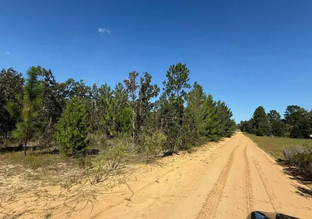 Photo 3 of Land for sale at 118 Linda Ln, Interlachen, FL 32148 | MLS# S5142673 | Listing updated on 2026-10-16