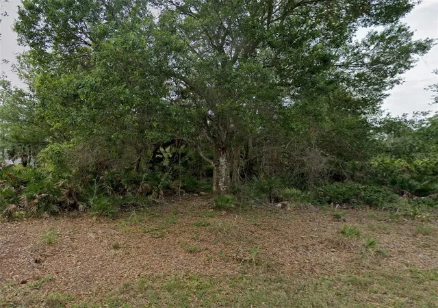 Photo 1 of Land for sale at 23469 Winthrob Ave, Port Charlotte, FL 33980 | MLS# C7521083 | Listing updated on 2026-01-30