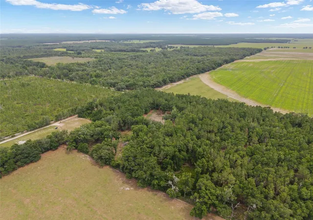 32nd image of 0 Sw 234th St, Newberry, FL 32669 | MLS# GC537006