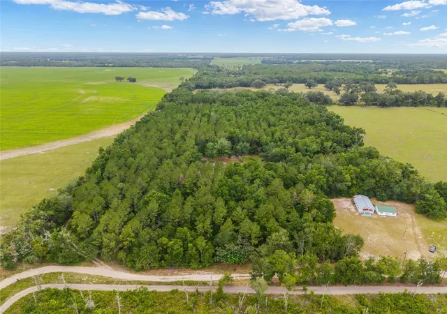 Photo 3 of Land for sale at 0 SW 234th Street, Newberry, FL 32669 | MLS# GC537006 | Listing updated on 2026-08-11