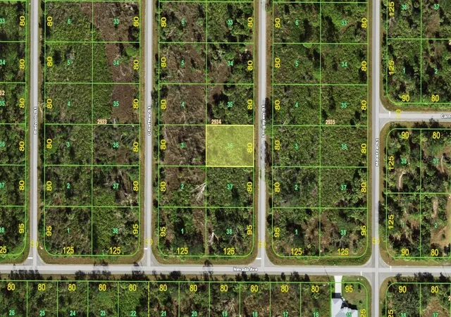 Photo 1 of Land for sale at 2167 Lingayen St, Port Charlotte, FL 33953 | MLS# C7521119 | Listing updated on 2026-02-16