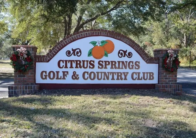 Homes for sale in Citrus Springs, FL | 6975 N Lime Dr, Citrus Springs, FL 34433 | MLS# O6377862