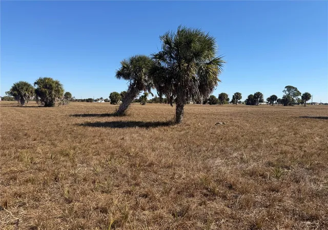 Photo 3 of Land for sale at 24 Lark Dr, Placida, FL 33946 | MLS# A4680320 | Listing updated on 2026-09-28
