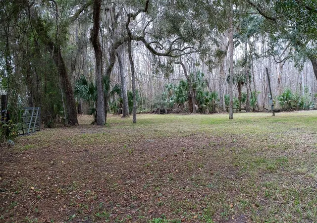 Photo 2 of Land for sale at 155 Fran Ln, Satsuma, FL 32189 | MLS# FC315730 | Listing updated on 2026-07-21