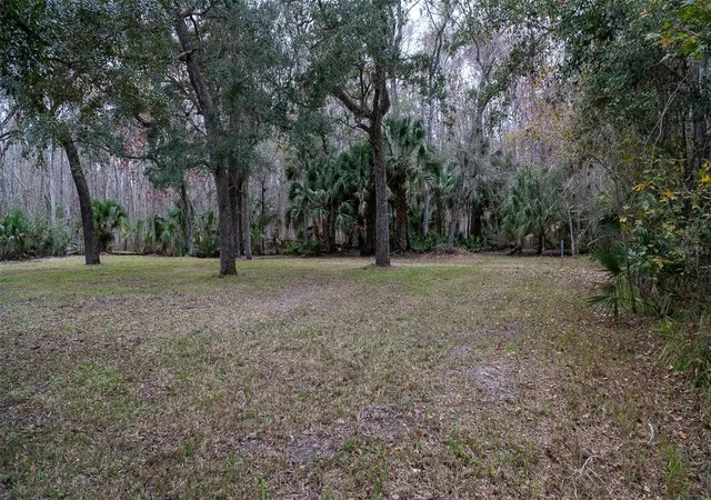 Photo 3 of Land for sale at 155 Fran Ln, Satsuma, FL 32189 | MLS# FC315730 | Listing updated on 2026-07-21