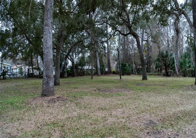 Photo 4 of Land for sale at 155 Fran Ln, Satsuma, FL 32189 | MLS# FC315730 | Listing updated on 2026-07-21