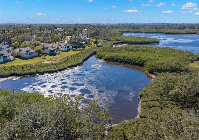 41st image of 1013 Caravel Ct, Tarpon Springs, FL 34689 | MLS# TB8470429