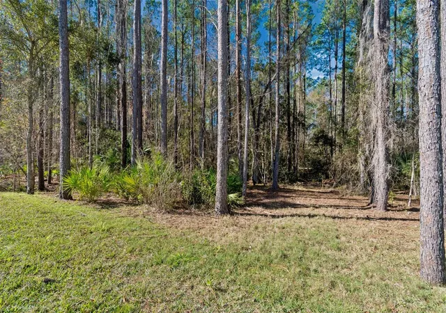 3rd image of 4905 Majestic Hills Loop, Brooksville, FL 34601 | MLS# TB8470635