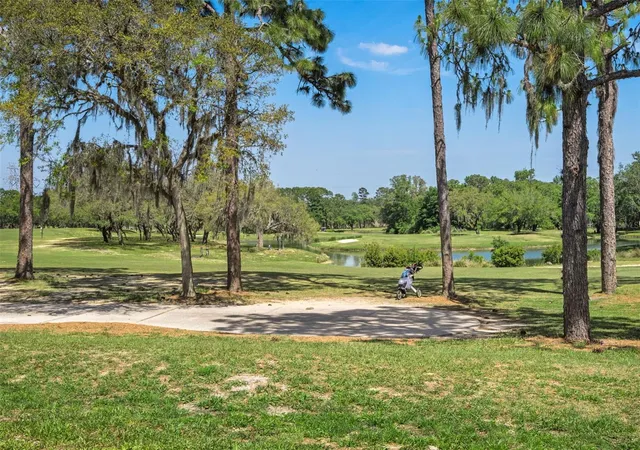 69th image of 15 W Byrsonima Loop, Homosassa, FL 34446 | MLS# OM717777
