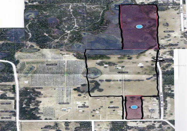 Photo 3 of Land for sale at 42554 Maggie Jones Rd, Paisley, FL 32767 | MLS# V4947070 | Listing updated on 2026-09-17