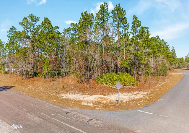 Photo 3 of Land for sale at 6932 N Glenridge Cir, Citrus Springs, FL 34434 | MLS# W7882575 | Listing updated on 2026-08-04
