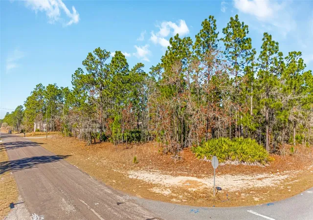 Photo 4 of Land for sale at 6932 N Glenridge Cir, Citrus Springs, FL 34434 | MLS# W7882575 | Listing updated on 2026-08-04